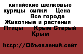 китайские шелковые курицы (силки) › Цена ­ 2 500 - Все города Животные и растения » Птицы   . Крым,Старый Крым